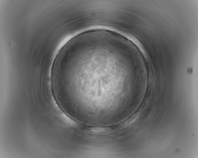 X0000091911199200709051412