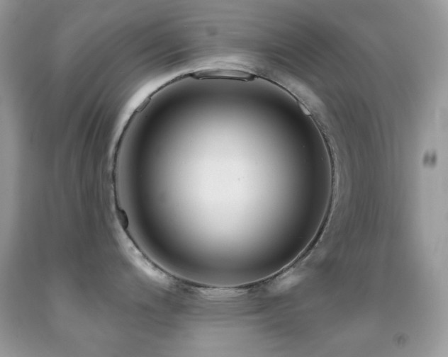 X0000091911200200709051412