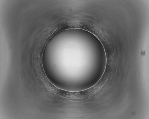 X0000091911201200709051411