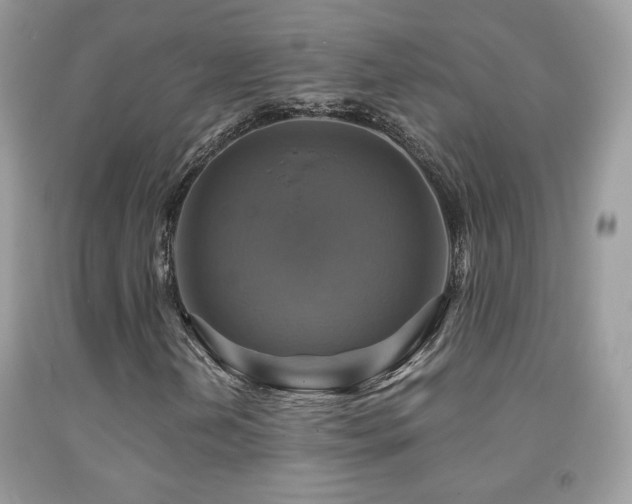 X0000091911202200709051411