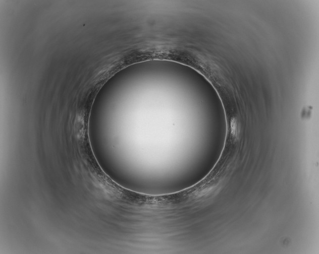 X0000091911203200709051411