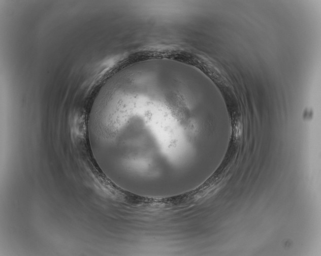 X0000091911204200709051411