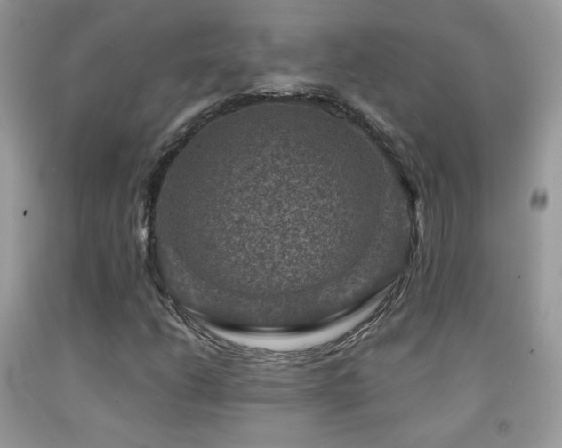 X0000091911206200709051411
