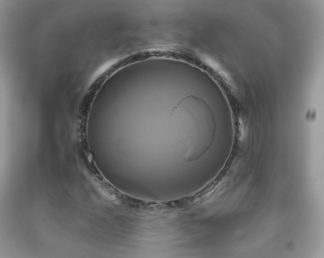 X0000091911208200709051411