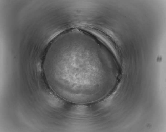 X0000091911209200709051411