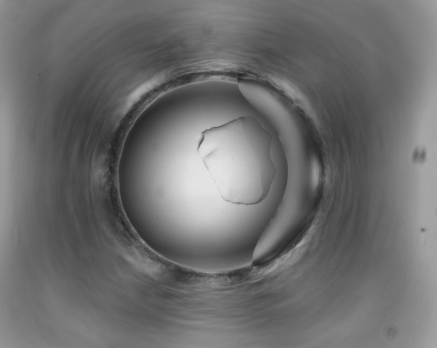 X0000091911210200709051411