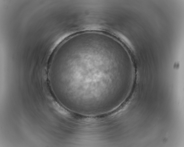 X0000091911212200709051411