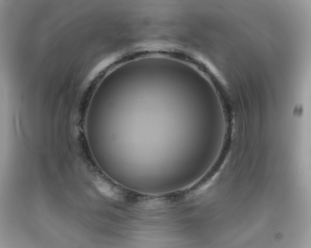 X0000091911213200709051411