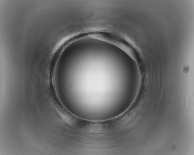 X0000091911214200709051411