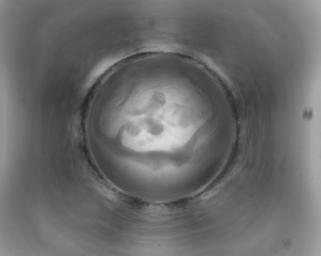 X0000091911215200709051411