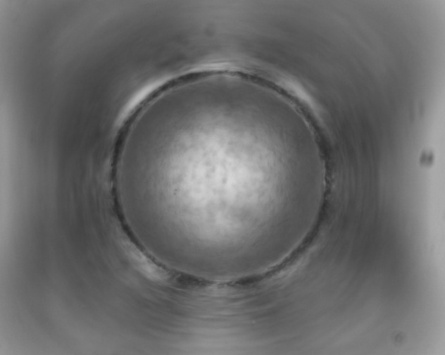X0000091911216200709051411
