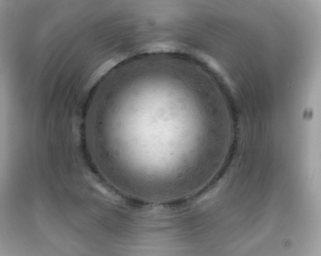 X0000091911217200709051411