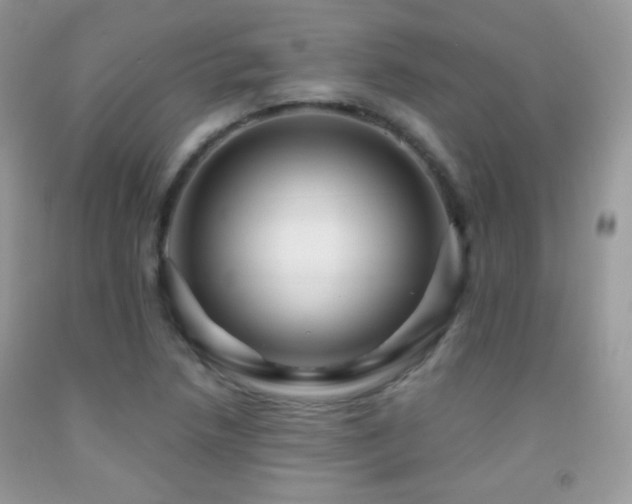 X0000091911218200709051411