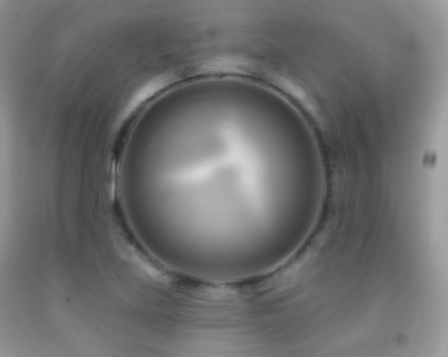 X0000091911219200709051411