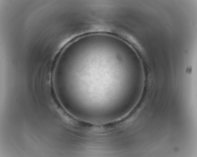 X0000091911220200709051411
