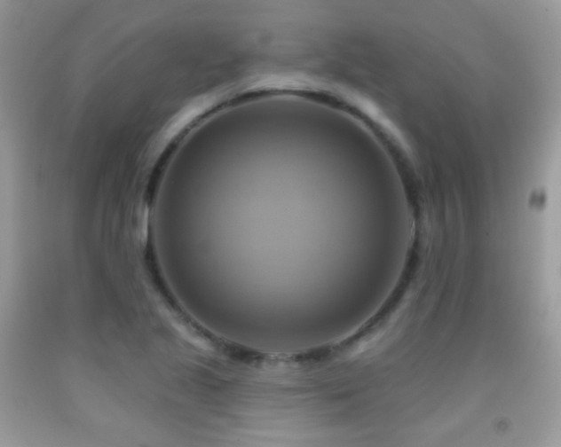X0000091911221200709051411