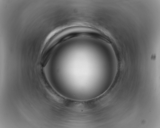 X0000091911222200709051411