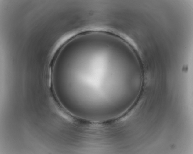 X0000091911223200709051411