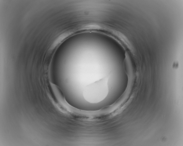 X0000091911225200709051411