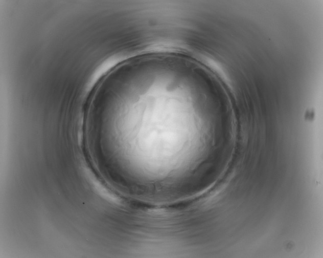 X0000091911227200709051411