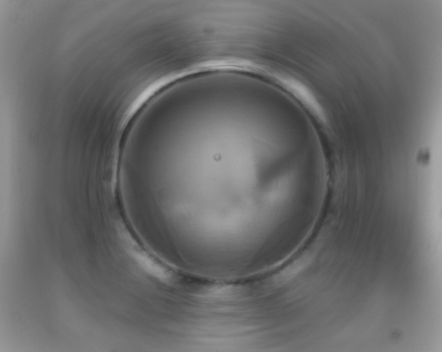 X0000091911228200709051411