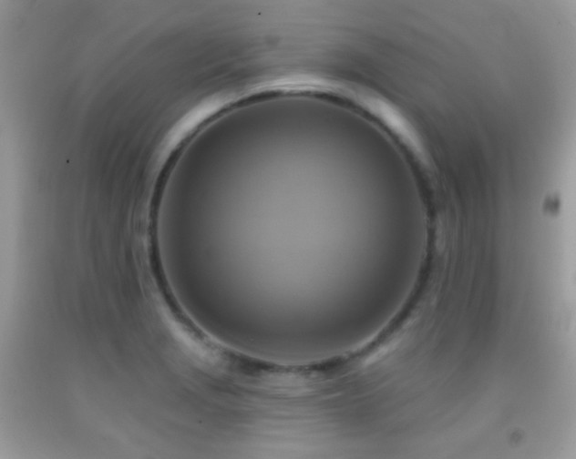 X0000091911229200709051411