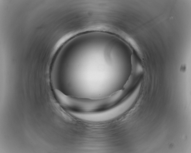 X0000091911230200709051411