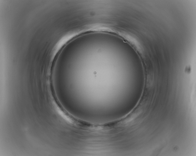 X0000091911231200709051411