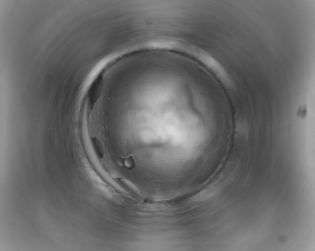 X0000091911232200709051411