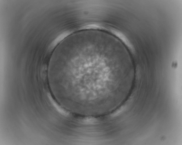 X0000091911233200709051411