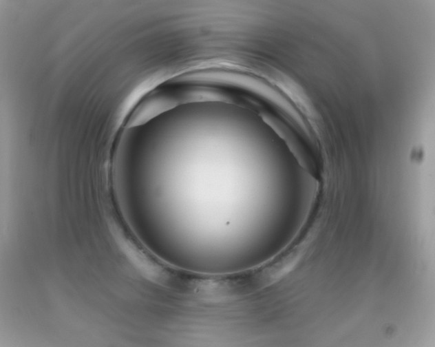 X0000091911234200709051411