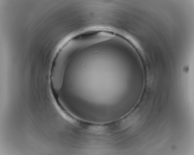 X0000091911237200709051412
