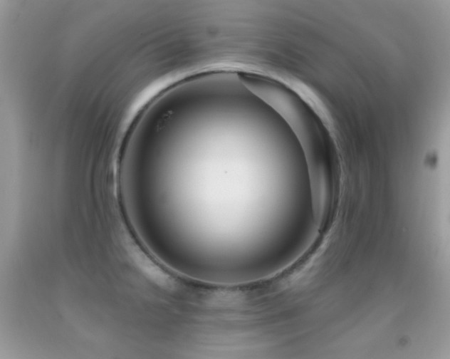 X0000091911238200709051412