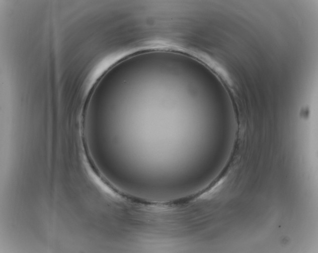X0000091911239200709051412