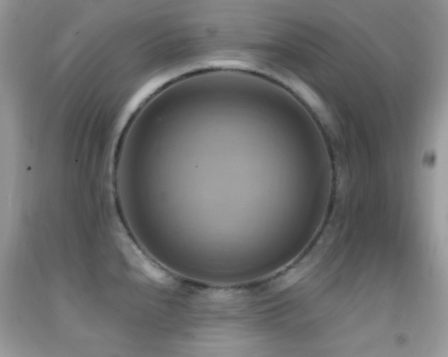 X0000091911240200709051412