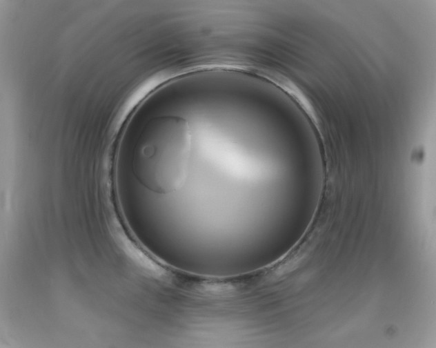 X0000091911243200709051412