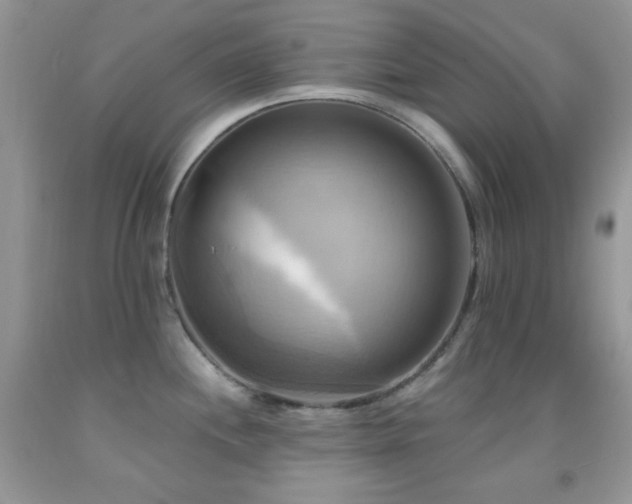 X0000091911244200709051412
