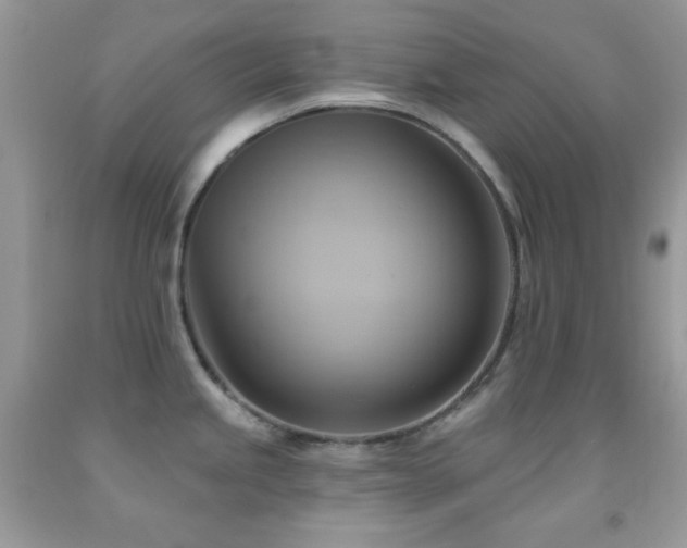 X0000091911245200709051412