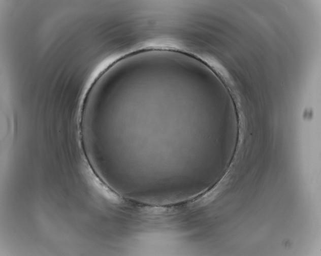X0000091911248200709051412