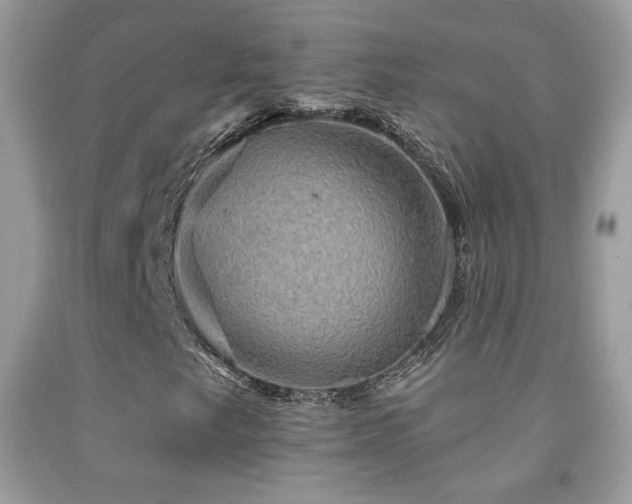 X0000091911249200709051411