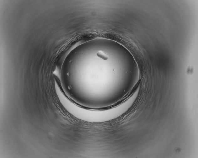 X0000091911250200709051411