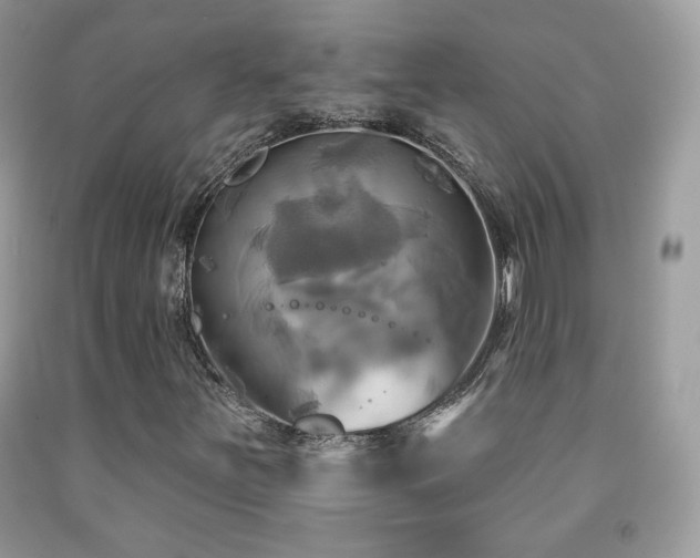X0000091911251200709051411