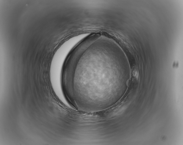 X0000091911252200709051411