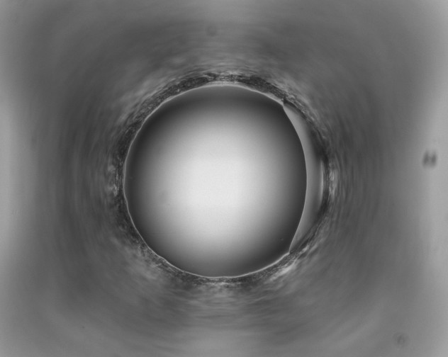 X0000091911253200709051411