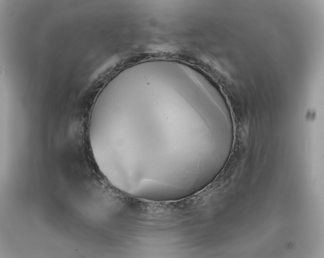 X0000091911254200709051411