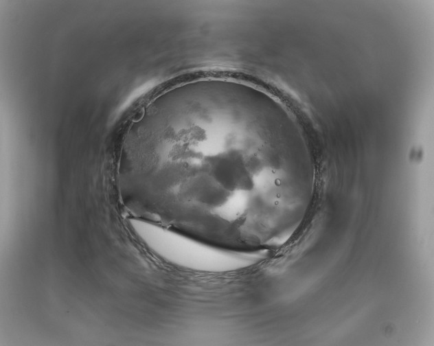 X0000091911255200709051411