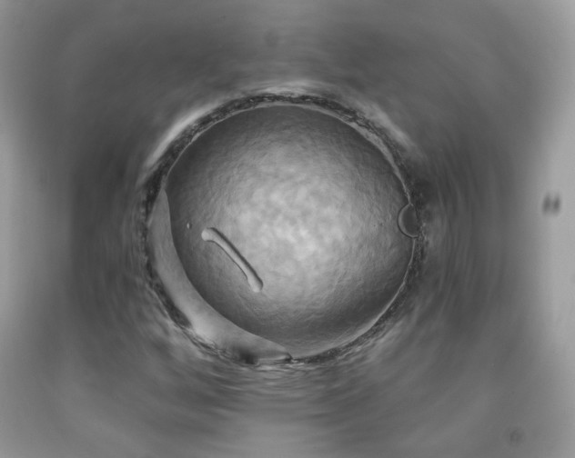 X0000091911256200709051411