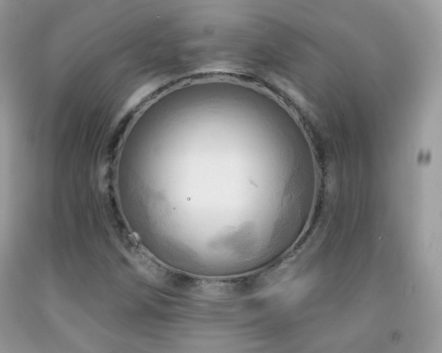 X0000091911258200709051411
