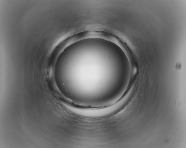 X0000091911261200709051411
