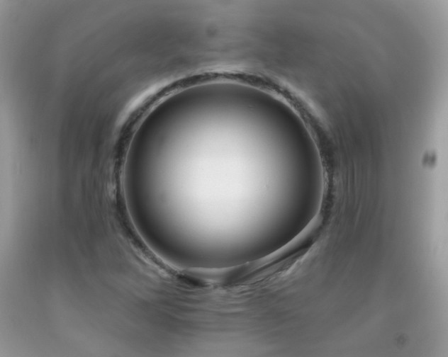 X0000091911262200709051411